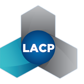Leadership In Action: Society Badge